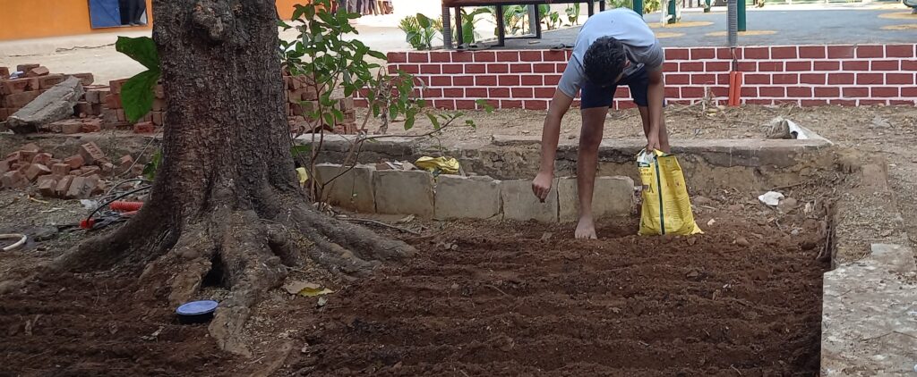 A Child mixed natural fertilizer into the soil - Seeds of Learning