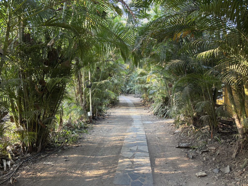 Hidden Oasis near Hunnar Gurukul